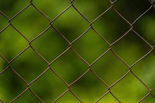 Jak železnice formují a chrání českou krajinu: Příroda vs. technologie