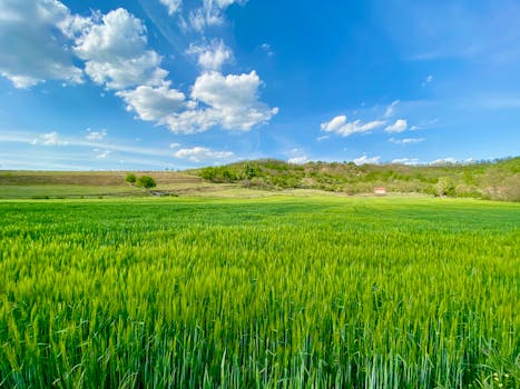 Vliv železnic na ekologii v ČR: Přínosy a výzvy pro životní prostředí